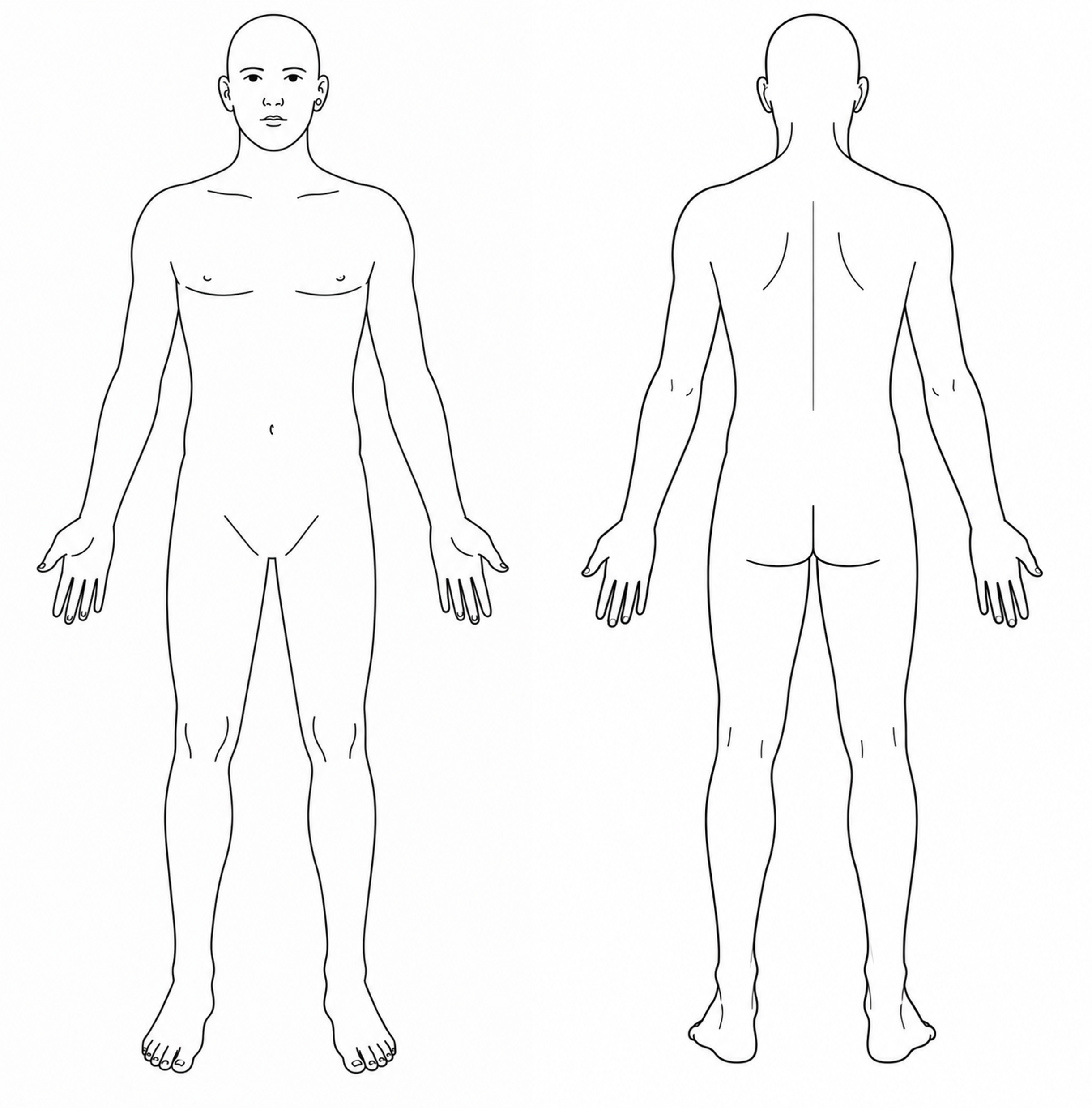 Dermatome Chart